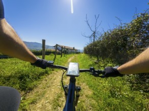 First person view of cyclist navigating a sunny trail with a smartphone mounted on the handlebars,