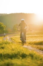 A person riding along a dirt track at sunset, surrounded by nature, e-bike, forest bike, Calw,