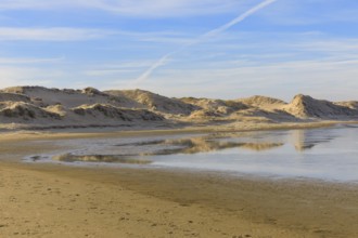 Groundwater forms small ponds in the dune landscape in Norderney, Lower Saxony, Germany