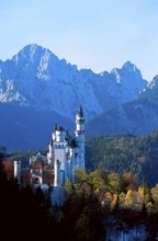 Castle Neuschwanstein, Neuschwanstein Castle, Bavaria, Germany, Europe, vertical portfolio_schloss