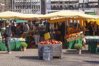 Bremen weekly market market with market stalls on the Domshof, Bremen, Germany