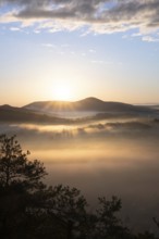 Mystical sunrise at the Wachtfelsen. Fascinating landscape shot between fog and clouds near