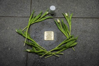 Stolpersteine in the city centre of Dresden commemorate the fates of Dresdeners during the 3rd