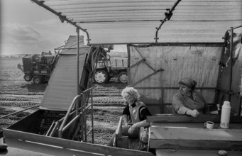 Germany, Trinwillershagen, 16.9.1991, Women on a potato harvester