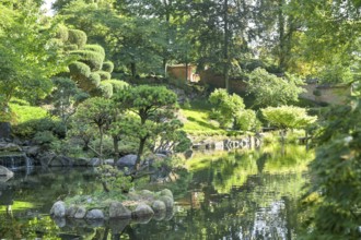 Pond, Japanese Garden, Am Abendsberg, Kaiserslautern, Rhineland-Palatinate, Germany
