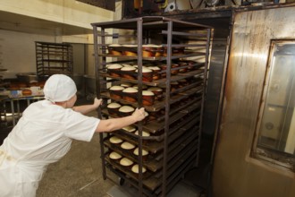 Belarus, the city of Gomil, April 25, 2019. Bakery.A bakery worker places trays with raw bread in