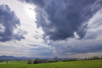 The Kirschallee from Altendorf to Rathmannsdorf with the Königstein Fortress and the Lilienstein on