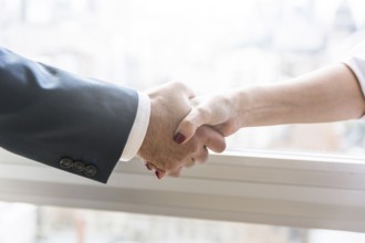 Businesswoman businessman shaking hands