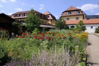Monastery garden, Fulda Monastery, Fula, Hesse, Germany