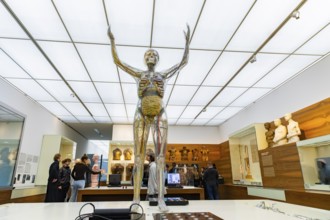 Founded in 1912, the Deutsches Hygiene-Museum is a museum in Dresden. It sees itself as a public