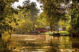 Main Spree, autumn, autumn sun, river Spree, Lübbenau, Brandenburg, Spreewald, Germany