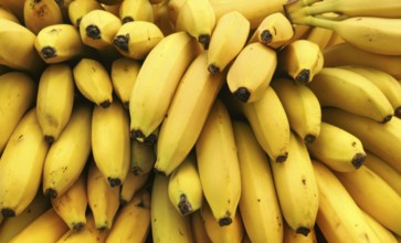 Bananas displayed on food market, Kyrenia, Cyprus