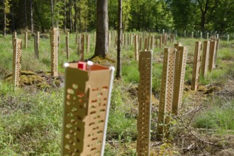 Environmentally friendly growth cover, organic, ecological, microplastic-free, deer, forest