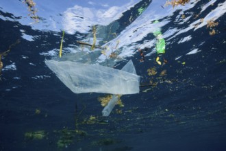 Plastic waste in the sea, Raja Ampat, West Papua, Indonesia