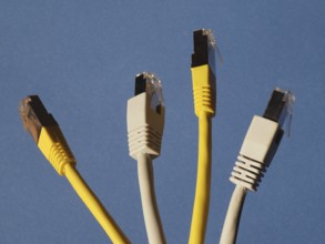 RJ45 ethernet plug