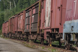 Rusty red freight wagons on a track next to a green forest, Bochum, North Rhine-Westphalia, Germany