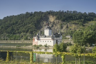 Rhine, Pfalzgrafenstein Castle, Rhineland-Palatinate, Germany