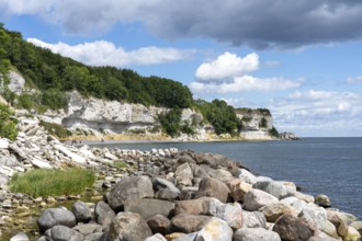 Hojerup, Denmark, July 21, 2020: View of the coastline at Stevns Klint cliff
