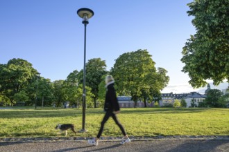 Green space Observatorielunden, Stockholm, Sweden