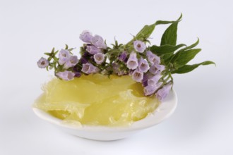 (Symphytum officinale), comfrey ointment