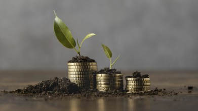 Stacked coins with dirt and plant Picture on, Resolution and high quality beautiful photo