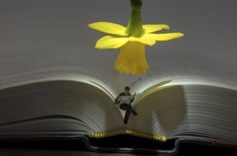 Little puppet man is reading a book sitting in the bible