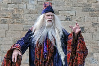 Dumbledore Entertaining the Crowds at Alnwick Castle