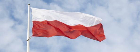 Flag of Poland waving at wind against beautiful blue sky. Polish flag White and red flutters on