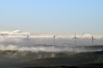 View from the Wildenburger Kopf in the Hunsrück-Hochwald National Park of the Nahe region with wind