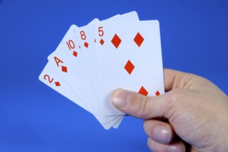 Playing cards, playing poker, playing poker, poker cards, royal flush, gambling, gambling