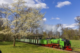 The popular small railway in Dresden's Great Garden has been in operation for 75 years. The steam