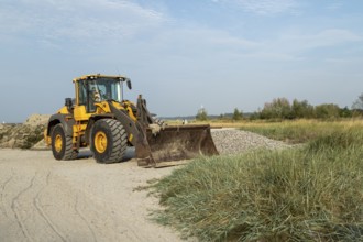 Coastal defence, wheel loader on the sandy beach on the Priwall, seaside resort of Travemünde,