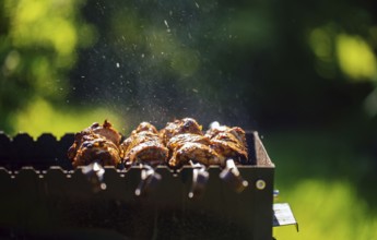 Leckeres Schaschlik vom Schwein auf dem Grill