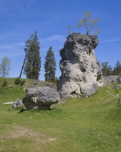 Rocks in the sea of rocks in the Wental, dry valley, Swabian Alb, district of Heidenheim, Germany