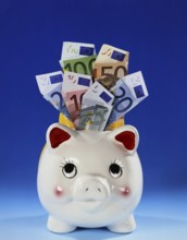 Symbol photo money, luck, saving, piggy bank with euro banknotes studio photo, Lower Saxony,