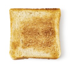 Toast slice isolated on white