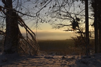 Winter sunrise with snow in the Hunsrück-Hochwald National Park in the area between Wildenburger