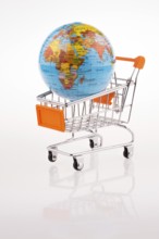 Globe on a shooping cart