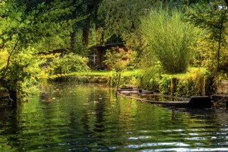 Spreewald barge, lowered, flooded, ditch, river Spree, Germany, Brandenburg, Spreewald, Lehde,