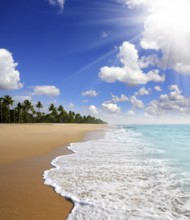 Beautiful beach landscape, ocean in India