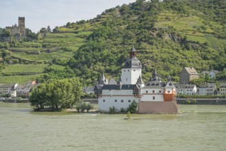 Burg Pfalzgrafenstein in the Rhine, Kaub on the Rhine, above Burg Gutenfels, Rhine-Lahn district,