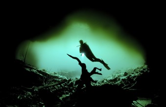 Cave diving Laguna Pepe, Punta Cana, freshwater, Dominican Republic