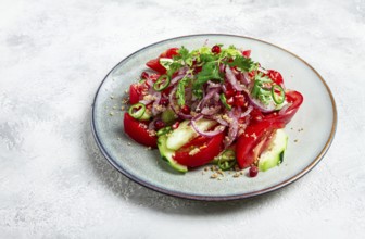 Georgian vegetable salad, cucumbers with tomatoes, greens, walnuts, pomegranate seeds, on a light