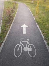 Marked bicycle lane in the park. Track for cyclists
