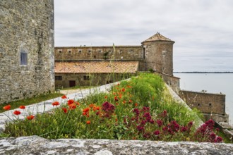 Castle Fouras, Fouras-les-Bains, Charente-Maritime, Nouvelle-Aquitaine, France