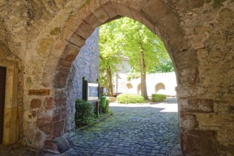 Dringenberg Castle is a medieval hilltop castle in Dringenberg in the district of Höxter. It was