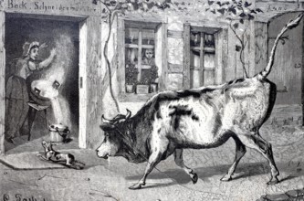 Farming, Bull has broken free and charges towards the kitchen, the farmer's wife spills the vat of
