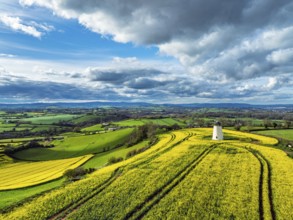 Rapeseed Fields and Farms over Torquay from a drone, Devon, England, United Kingdom