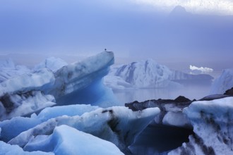 Icebergs in the morning light, Jökulsárlón glacier lagoon, Jökulsarlon, glacial lake, Vatnajökull