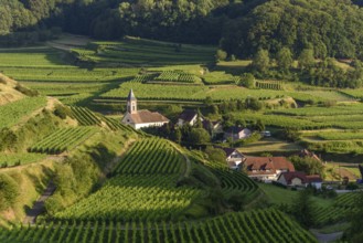 Het uitzicht toont een schilderachtig dorp omringd door uitgestrekte wijngaarden op de heuvels, met
